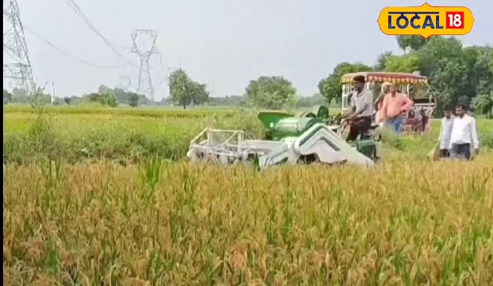 No work will be done in farming; This government scheme will make left -hand game