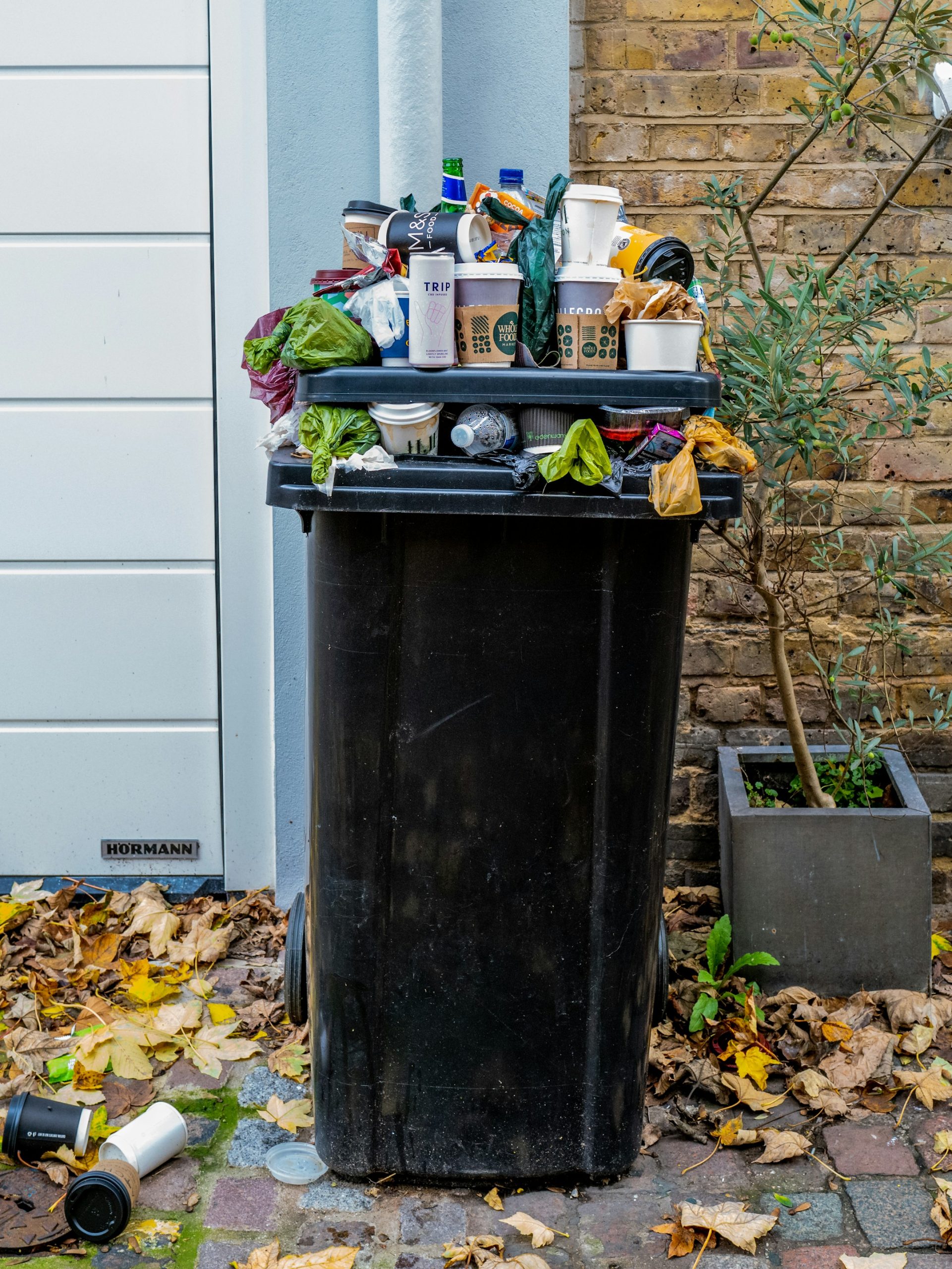 These countries are covered with waste of food