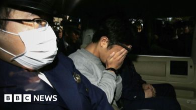 Japan Executes ‘Twitter Killer’ WHO MURDERED NINE – ryan