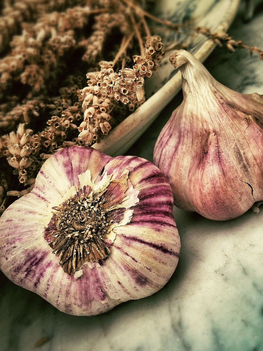 Who is growing the most garlic in the world?