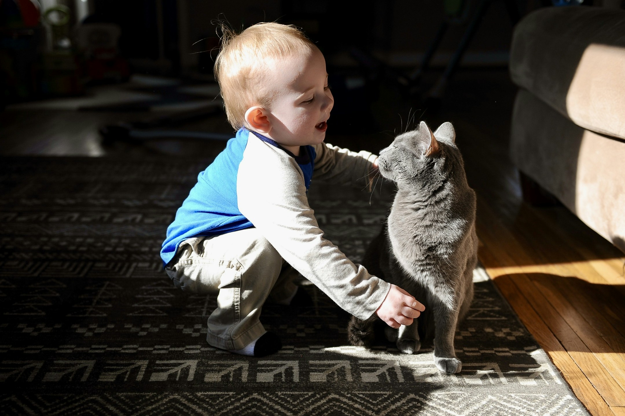 Why are pets needed for children?