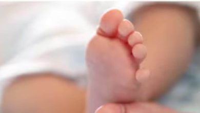 DNA flew as soon as he tested, the rocket to sell a child was running in the name of surrogacy