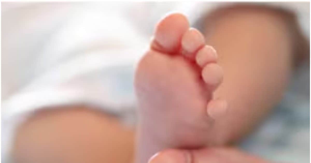 DNA flew as soon as he tested, the rocket to sell a child was running in the name of surrogacy