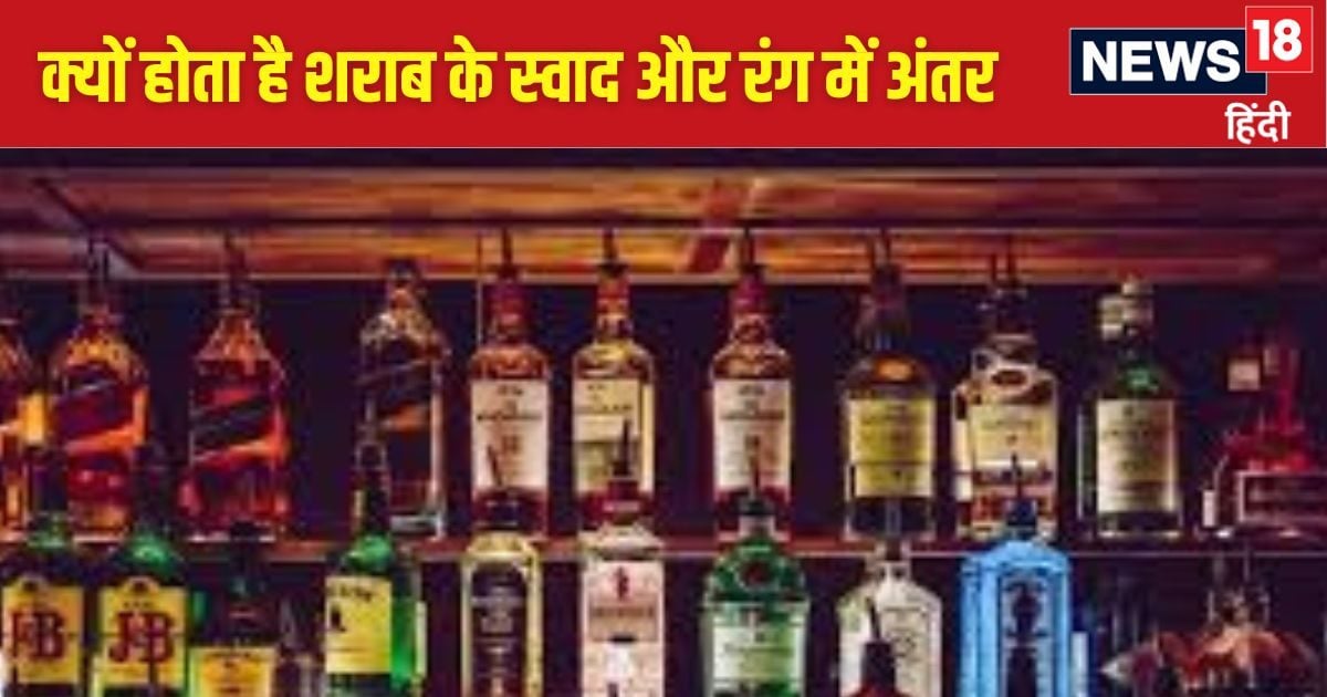 व्हिस्की, रम, वोदका, वाइन और बीयर में फर्क, जानें किसमें कितना है नशा