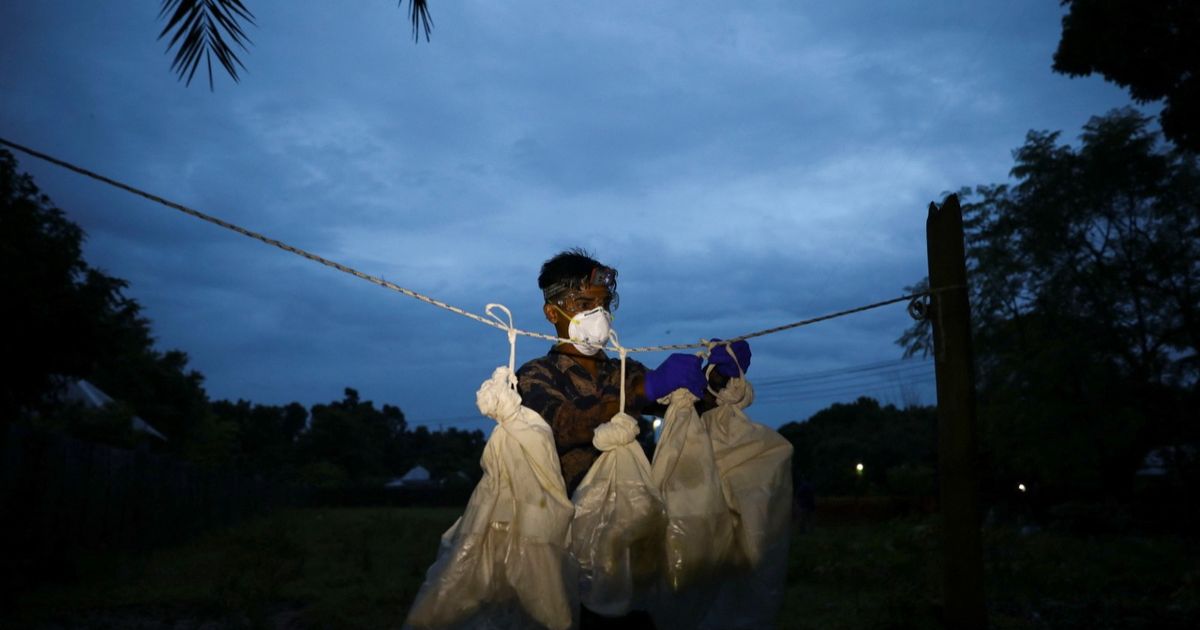 Scientists manage to develop the first vaccine against the deadly nipah virus