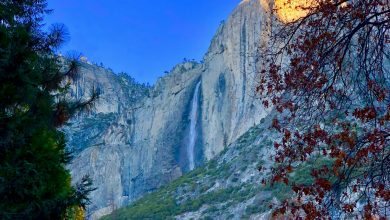 The park from which America has learned to save the environment