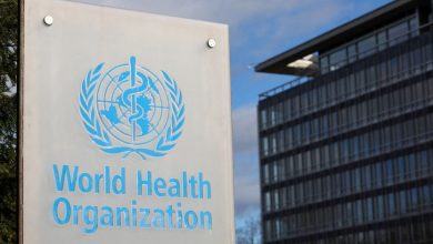 What is the Xingonia virus that warned the World Health Organization about its distribution?