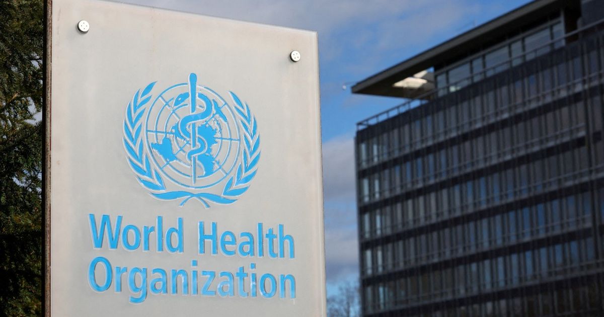 What is the Xingonia virus that warned the World Health Organization about its distribution?