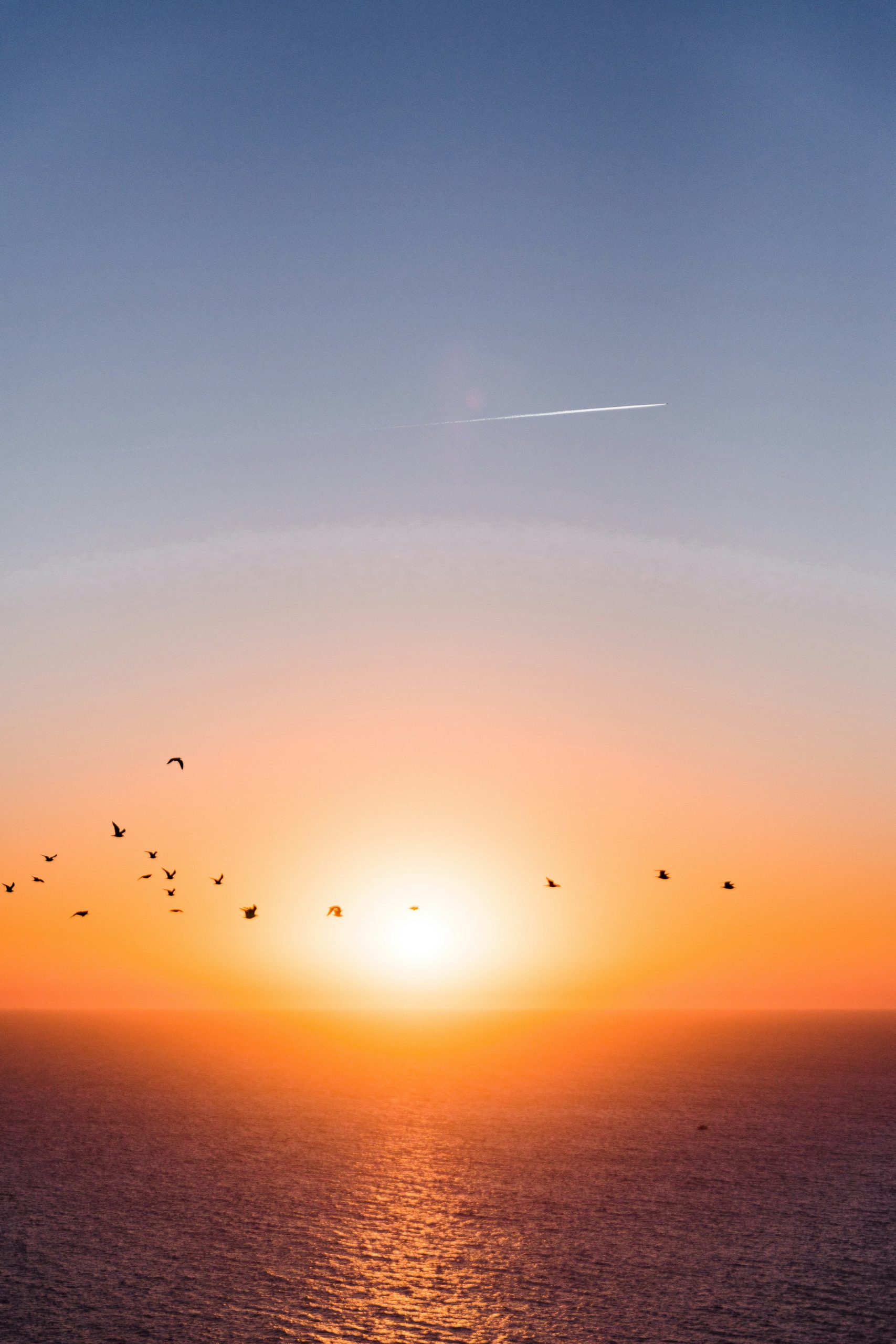 Horoscope of Tuesday, July 29, 2025
