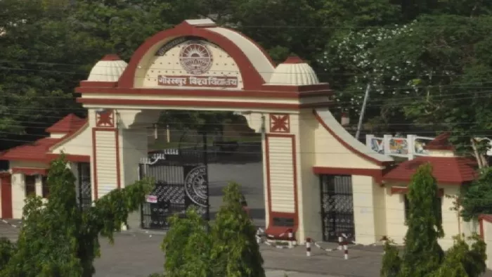 DDU -NEWS: Results of the Celltop Award for 39 courses at Gorakhpur University are released, full information will be available here -the Gorakhpur University announces the award of Copt Award. Admission 2025