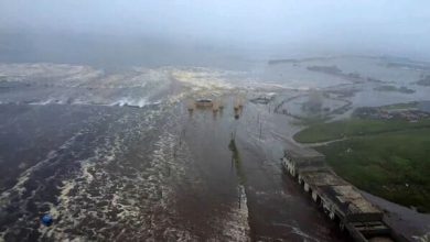 In photos | Tsunami -waves reach Japan, Hawaii and California after 8.8 earthquake in Russia