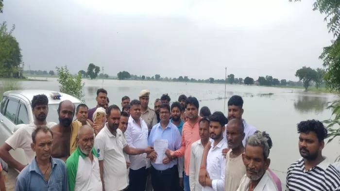 Heavy Rain in Palwal: Farmers who are on request for more than 500 hectares as a result of heavy rain in Palwal – NCR Palwal Damage Damage Due to Heavy Rain Farmers, Companions Claim