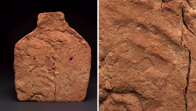 4,000 -year -on -myty mysterious handmark found from the ancient grave of Egypt also surprised scientists