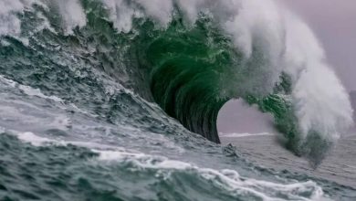 Why arise waves that arise after the earthquake? Learn how tsunami is made and when alert is released, all know in one click