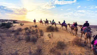 Know the 8 special things of the desert in the video that is the best destination for the magic, knowing that you will come out as well