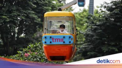 There is a free promo for TMII during August 2025, this is the condition!