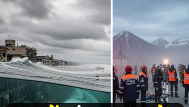 Russia Earthquake Tsunami Live News: रूस में भूकंप, अलर्ट पर है अमेरिका, मौसम विभाग ने दी चेतावनी- ‘हल्के म…