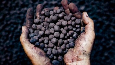 The price of iron is over $ 100 per tonne for the first time since May