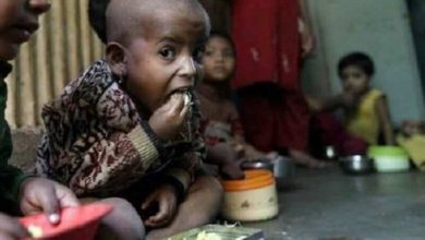 More than 23% of children in the age group of 0-5 in Haryana Dwarf