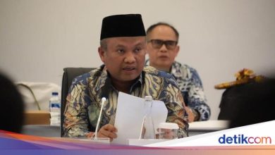 Legislature on the abolition of Tom Lembong-Amnest Hasto: Prabowo has an adult reason