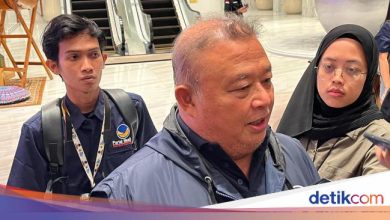 Hasto can be amnesty and Tom Lembong Caffeing, Nasdem: Prabowo Sensitivity Forms