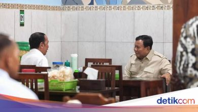 Jokowi said he did not speak abolition amnesty while eating noodles with Prabowo
