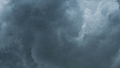 What is cloud sowing?