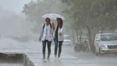 The life affected as a result of heavy rains in Bihar was warned in 9 districts