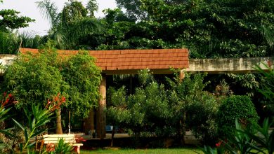Why is Pinjore called the City of Gardens?