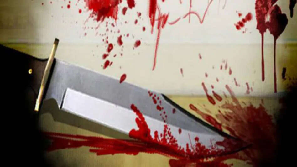 First fed with love and then made a very cruel murder but a small mistake reached the jail