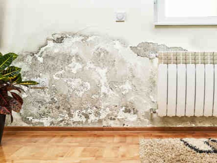 8 easy ways to get rid of damp