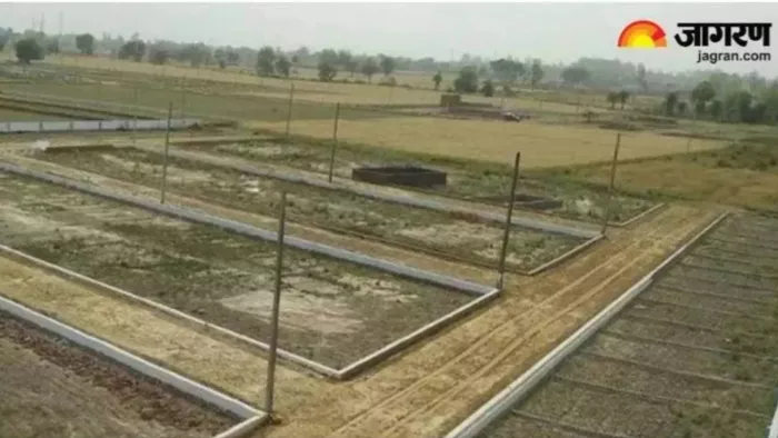200 hectares of land of Gram Panchayats fell to illegal possession, there was a stir due to great action – NCR Rewari News more than 200 hectares of Panchayati land illegally occupied
