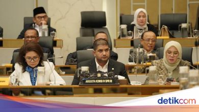 Legislature Rajiv asks for handling serious forestry from upstream to upstream