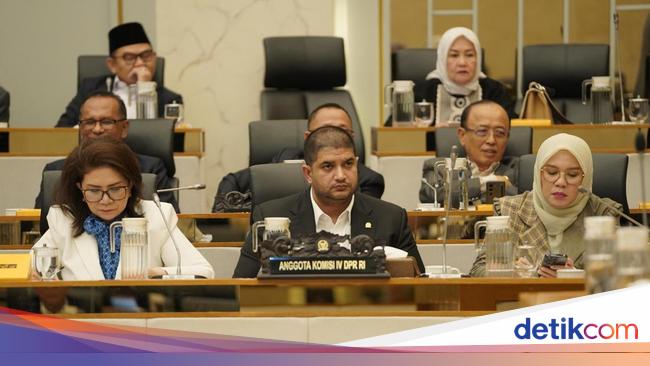 Legislature Rajiv asks for handling serious forestry from upstream to upstream