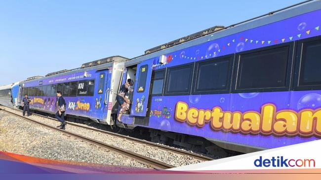 Bromo bromo orchids andkk, cancel the cancellation and hold