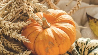 Why are pumpkin seeds important in food?