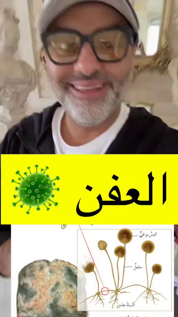 العفن في الفواكه و هل هو مضر ؟