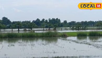 Do not buy land in these areas of Bhagalpur; Therefore, there is a ban on purchase and selling