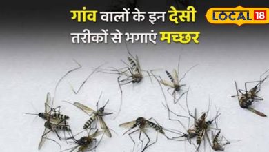 There is a natural formula to drive away mosquito, Purnia Ayurvedacharya said the way to use mosquito.