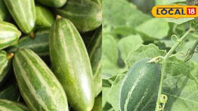 Parwal is not just a delicious vegetable but Sanjeevani!, Know what the shocking benefits are