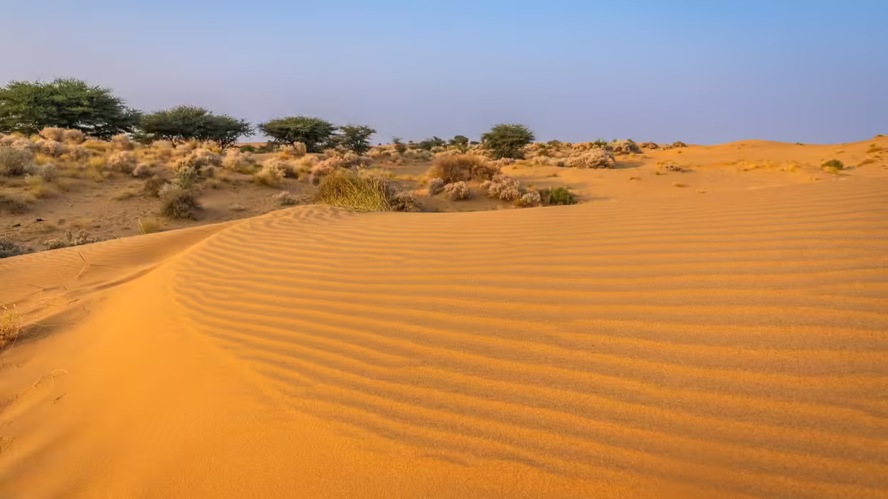 The inheritance flows into the veins of the Thar Desert, and goes to the 3 -minute viral documentary that every Indian should know