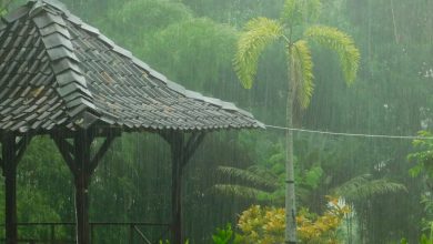 These 8 disadvantages are caused by rain