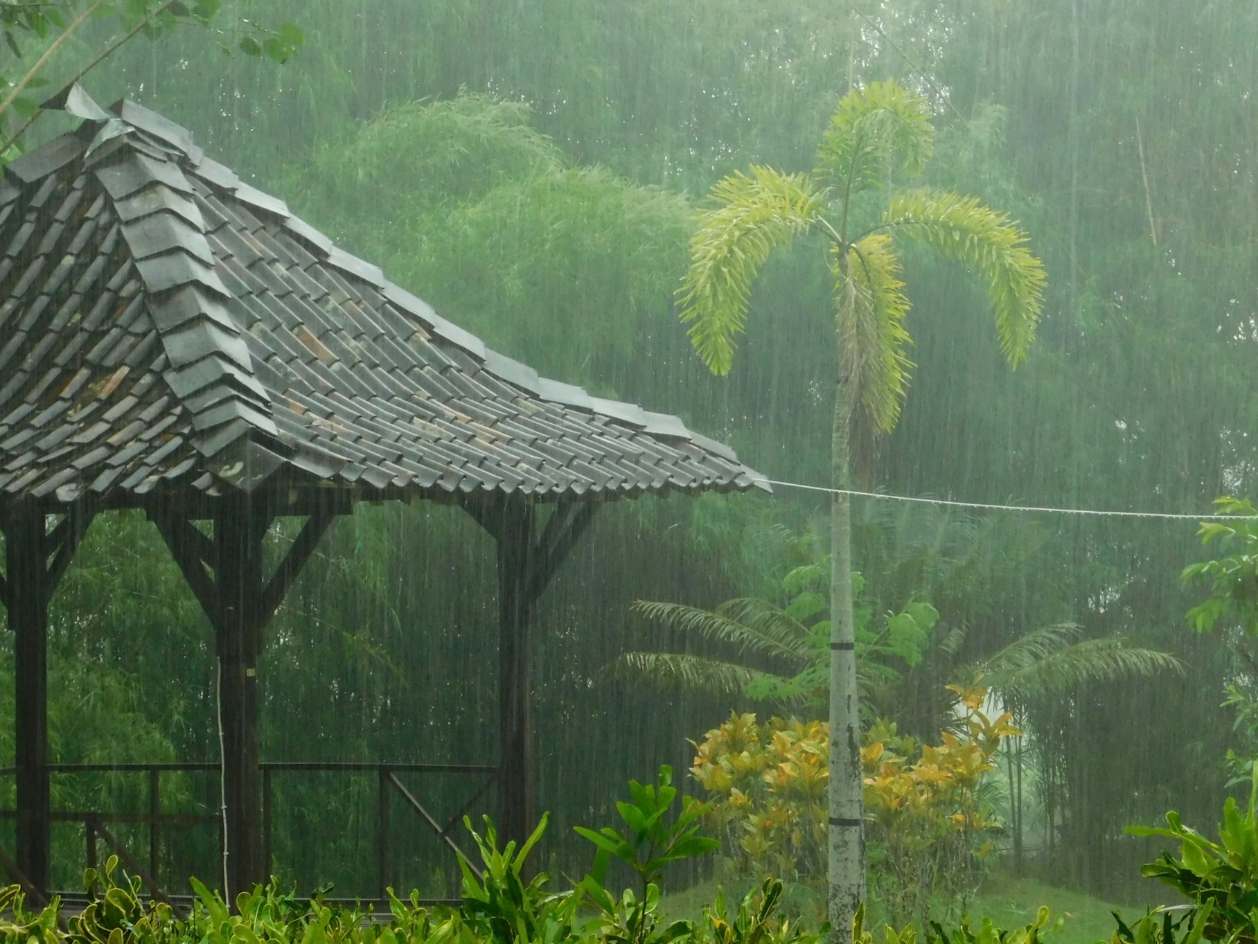 These 8 disadvantages are caused by rain