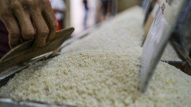 The largest importer in the world. The Philippines suspend the purchase of rice 60 days