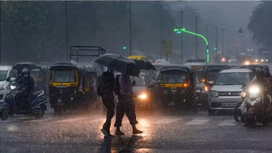 Monsoon will return to Rajasthan again, in the video -yellow warning in 11 districts learning, warns about heavy rains on Teej