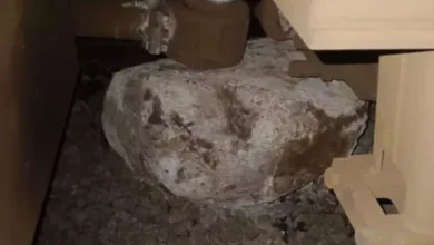 Korba Express, who has now survived in Raigadha, fell large stone on the track; Driver imposed emergency brake – major trace crash that occurs near Rayagada due to rockfall on tracks