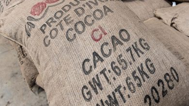 A new decrease in the production of cocoa in West Africa increases prices