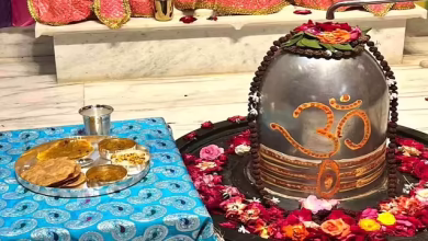 Pardeshwar Mahadev Shivalinga Building from 251 kg Mercury established in Shakkargarh, Rajasthan, New Faith Center for Dedicated