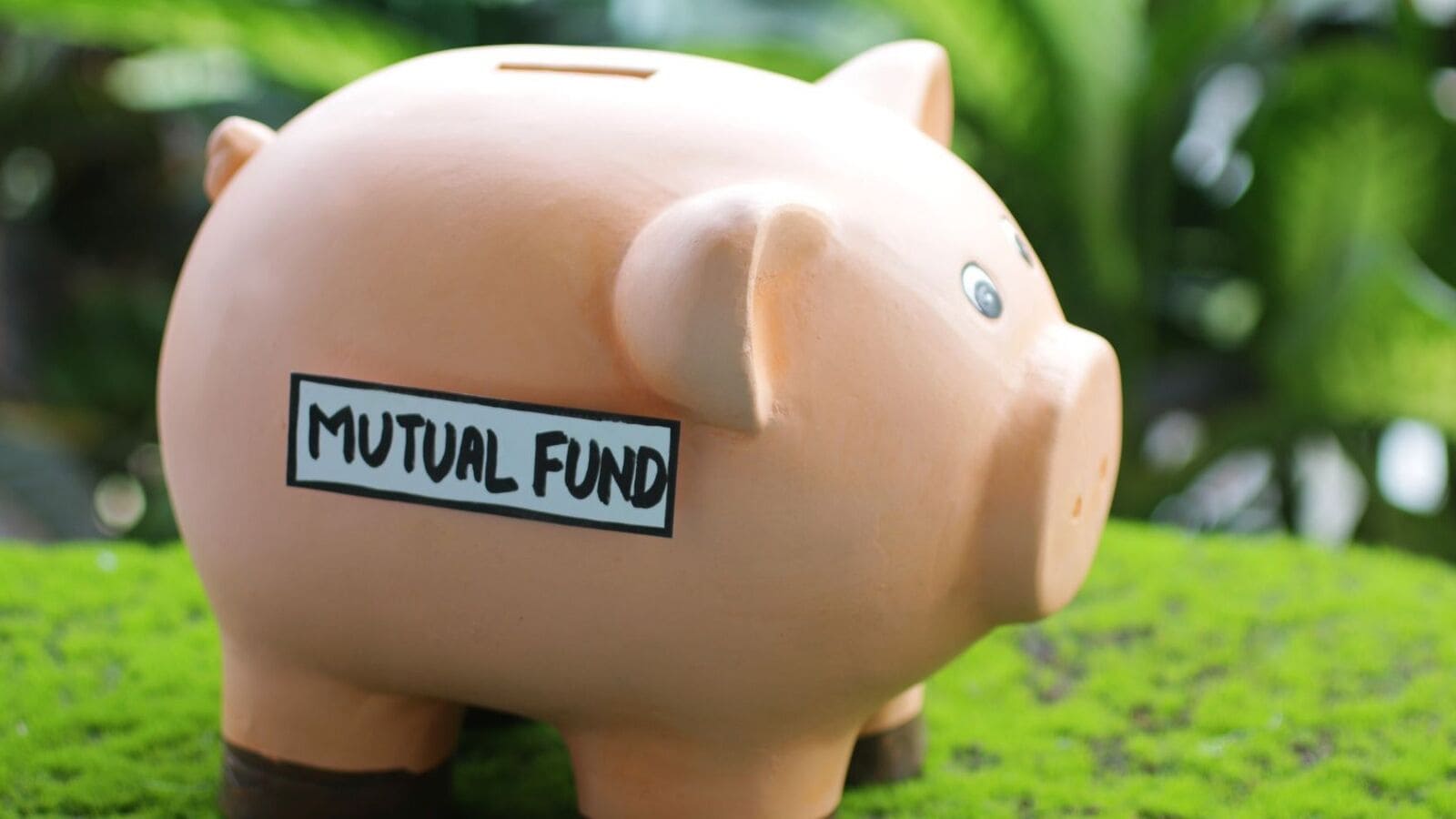Best Mutual Funds: These 6 focused funds have yielded more than 20% annually over the past five years. Check here