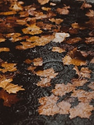 Take these ten precautions during the rainy season